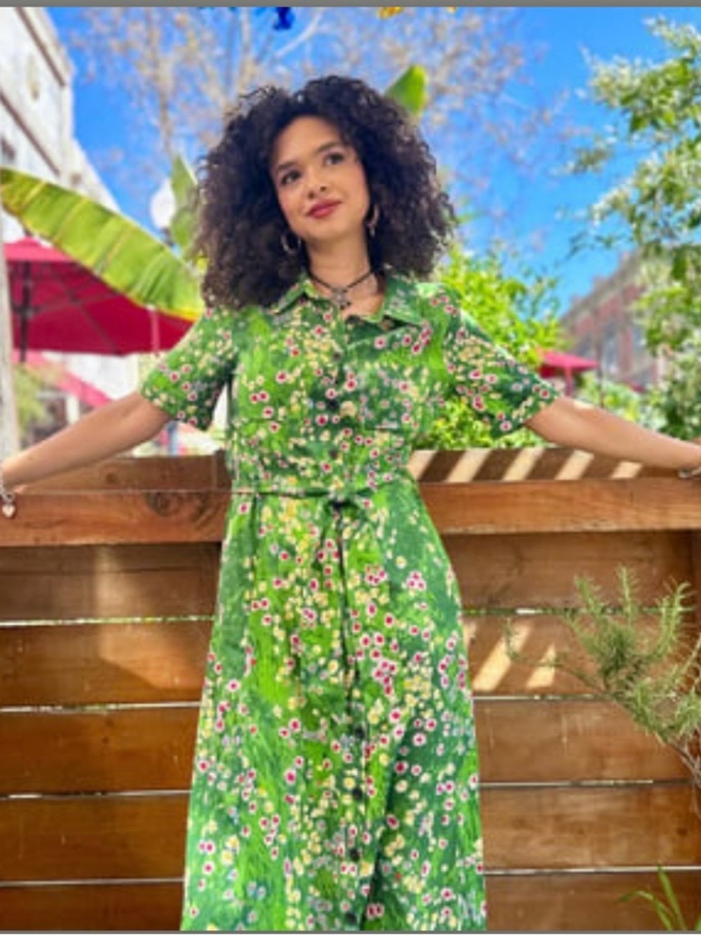Nooworks holiday dress, meadow, 3X - 4X